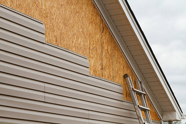 Professional Siding Repair technician working in Wesley Chapel, FL